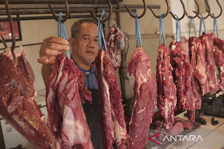 Stok daging sapi nasional