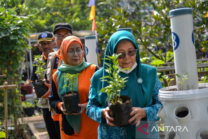 Gerakan tanam cabai serentak