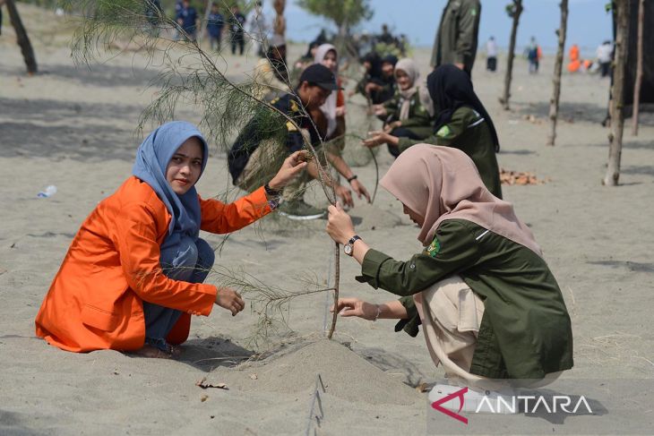 FOTO - Aksi mahasiswa tanam pohon cemara di pantai