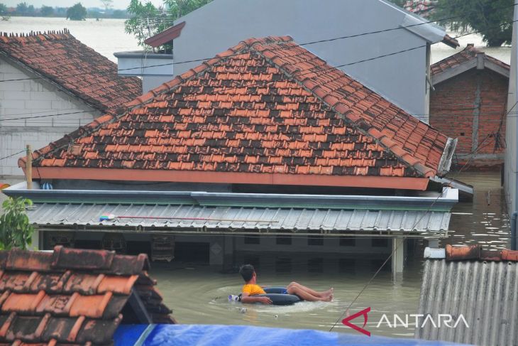 Ribuan rumah terendam banjir akibat jebolnya tanggul Sungai Irigasi Jratunseluna dan tanggul Sungai Wulan