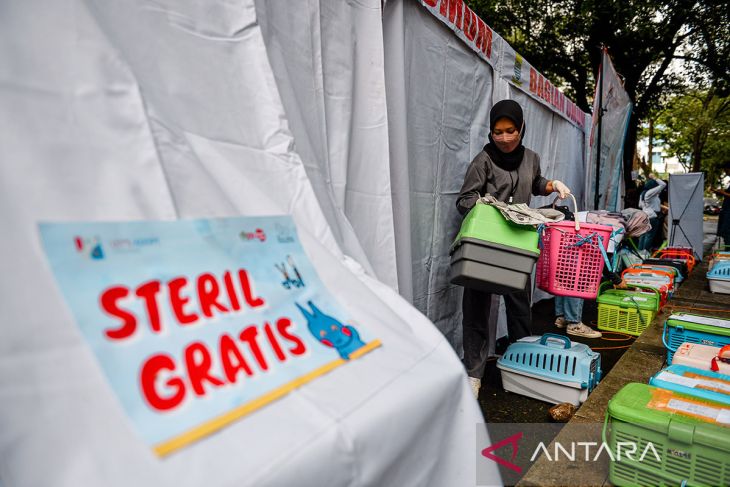 Sterilisasi kucing liar di Bandung