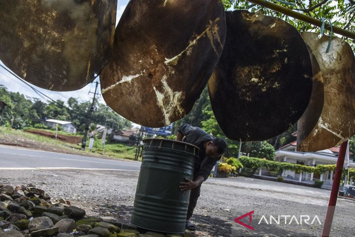 Penjual kulit bedug musiman