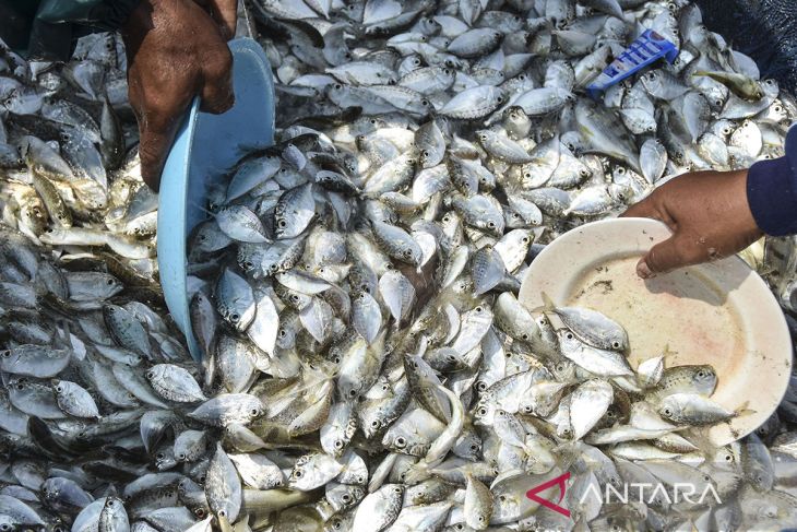 Implementasi program ekonomi biru untuk nelayan