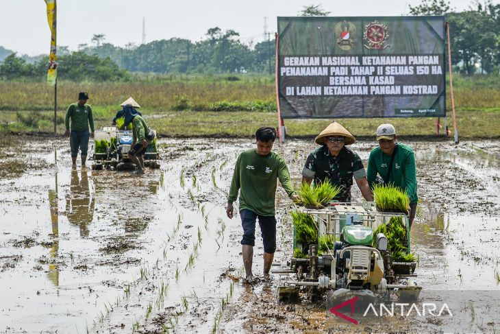 Program ketahanan pangan nasional tahap kedua