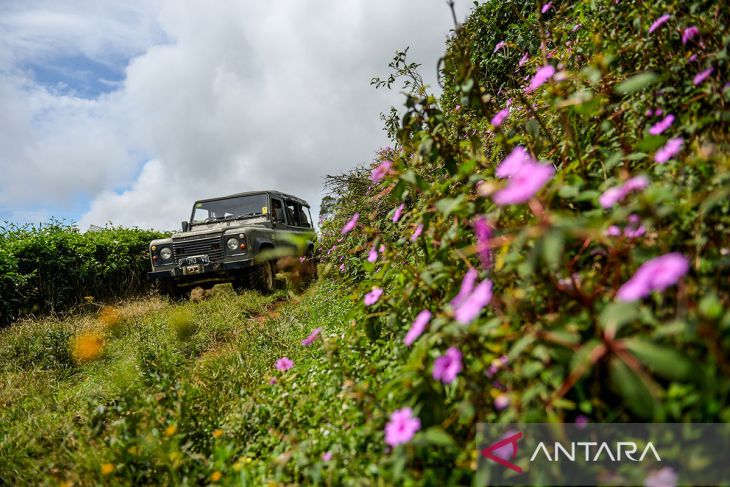 Program wisata Land Rover Experience