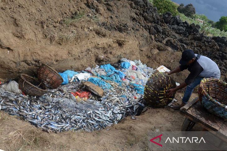 FOTO - Nelayan buang ikan akibat tangkapan melimpah