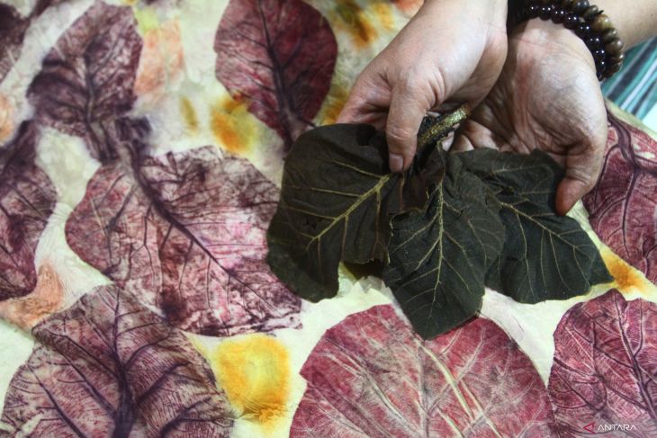 Kreasi batik ecoprint daun jati