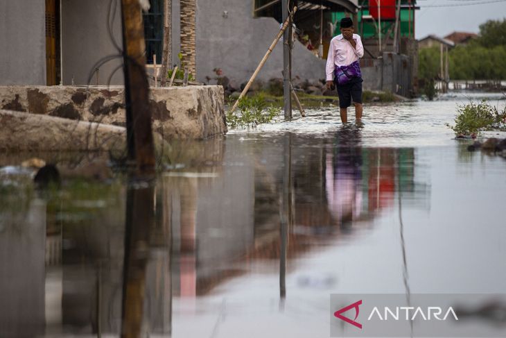 Banjir rob pesisir Indramayu