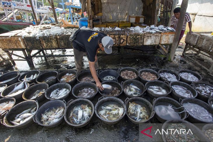 Target konsumsi ikan nasional