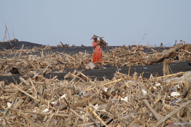 Sampah kiriman banjir Semeru menumpuk di Pantai Lumajang