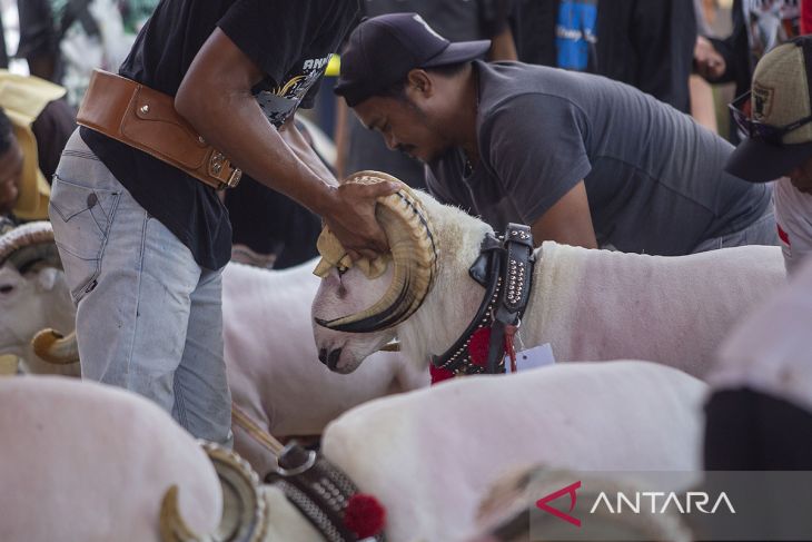 Pameran dan kontes domba Indramayu