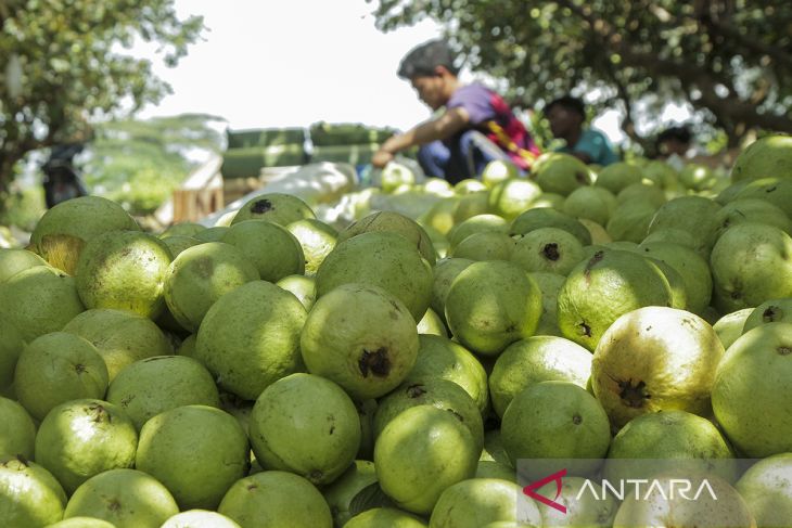 Jumlah rumah tangga usaha pertanian di Indonesia