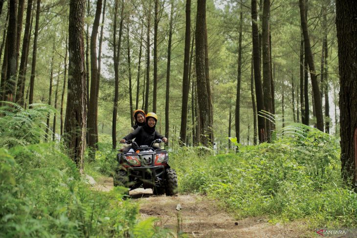 Potensi wisata hutan pinus di Lumajang