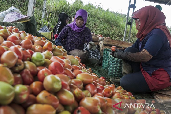 Nilai tukar petani Jawa Barat menurun
