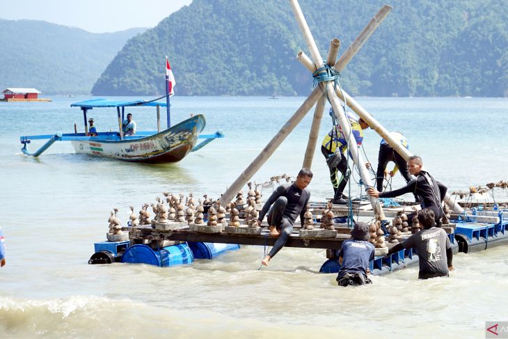 Konservasi terumbu karang di Pantai Mutiara Trenggalek