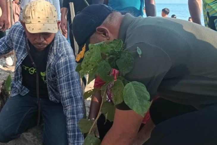 BRIN gandeng swasta kembangkan tanaman malapari perkuat ketahanan energi nasional