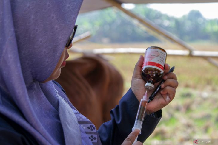 Antisipasi wabah PMK pada hewan kurban di Sidoarjo