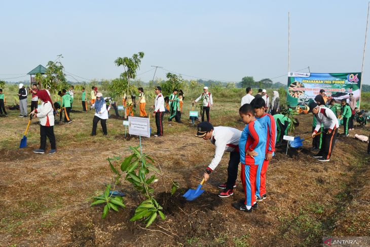 Penanaman pohon mangga di Madiun