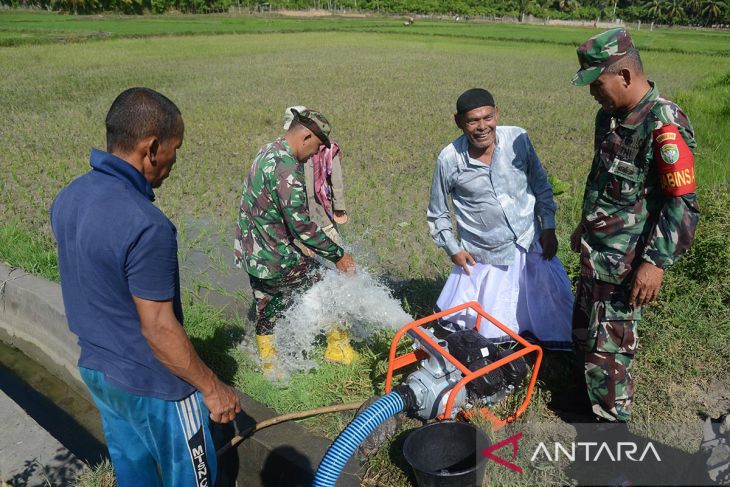 FOTO - Pompanisasi sawah terdampak kekeringan di Aceh Besar