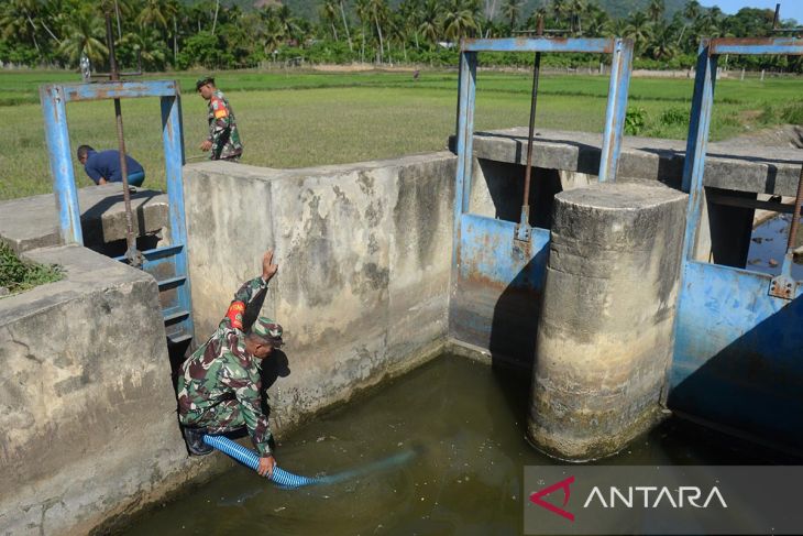 FOTO - Pompanisasi sawah terdampak kekeringan di Aceh Besar