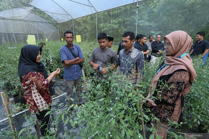 Petani Aceh studi banding agrowisata hidroponik ke Majalengka