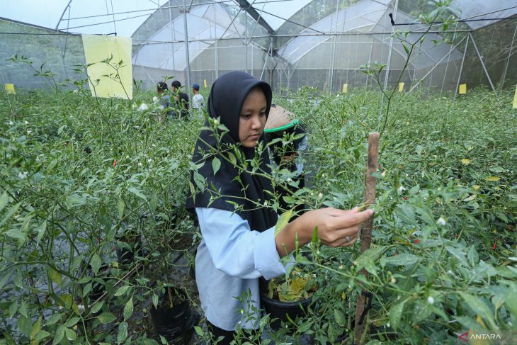 Petani Aceh studi banding agrowisata hidroponik ke Majalengka