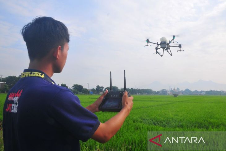 Petani gunakan jasa penyemprotan pestisida dengan teknologi drone