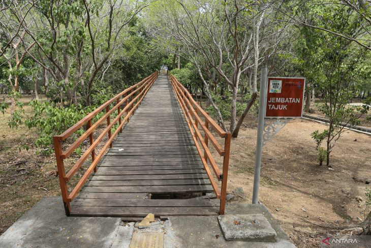 Fasilitas Hutan Kota Tibang Banda Aceh butuh perbaikan sambut PON XXI