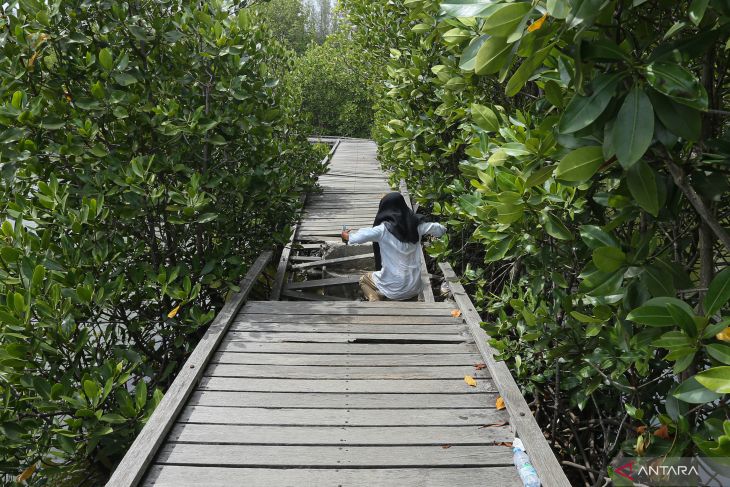 Fasilitas Hutan Kota Tibang Banda Aceh butuh perbaikan sambut PON XXI