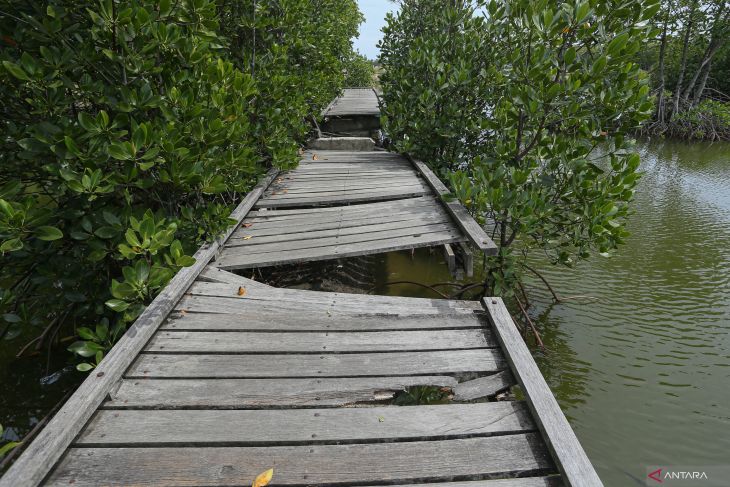 Fasilitas Hutan Kota Tibang Banda Aceh butuh perbaikan sambut PON XXI