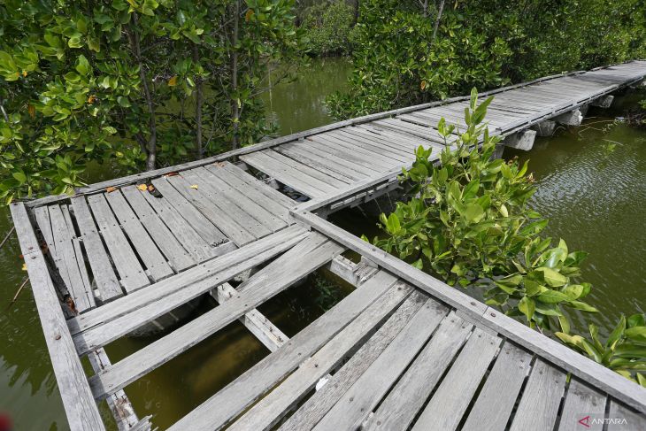 Fasilitas Hutan Kota Tibang Banda Aceh butuh perbaikan sambut PON XXI