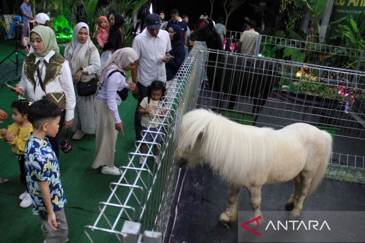 Mini Zoo di Pusat perbelanjaan Medan