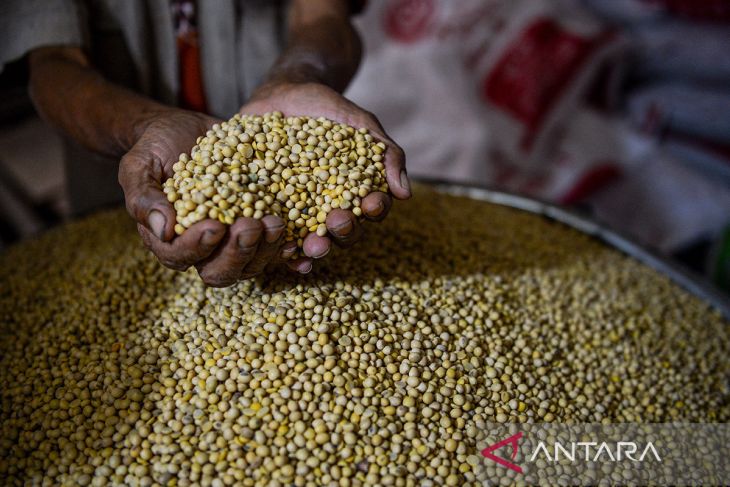 Dampak kenaikan kedelai impor di Kabupaten Sumedang