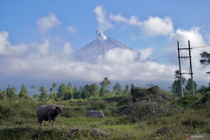 Perubahan tingkat aktivitas Gunung Semeru