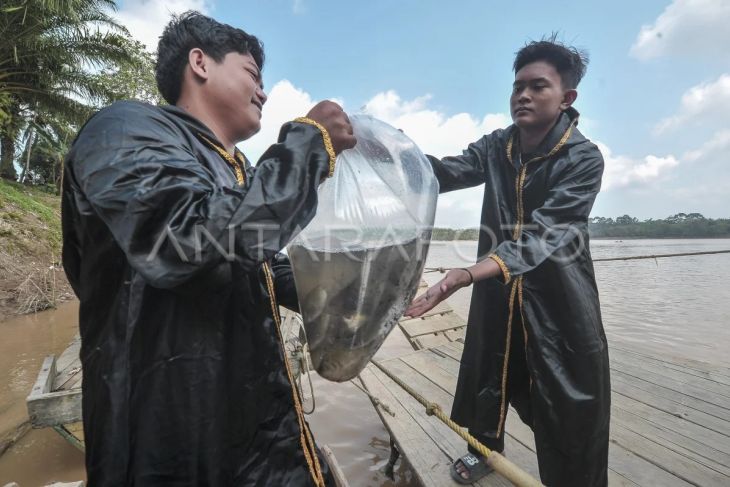 Pelepasliaran bibit ikan endemik Sungai Batanghari