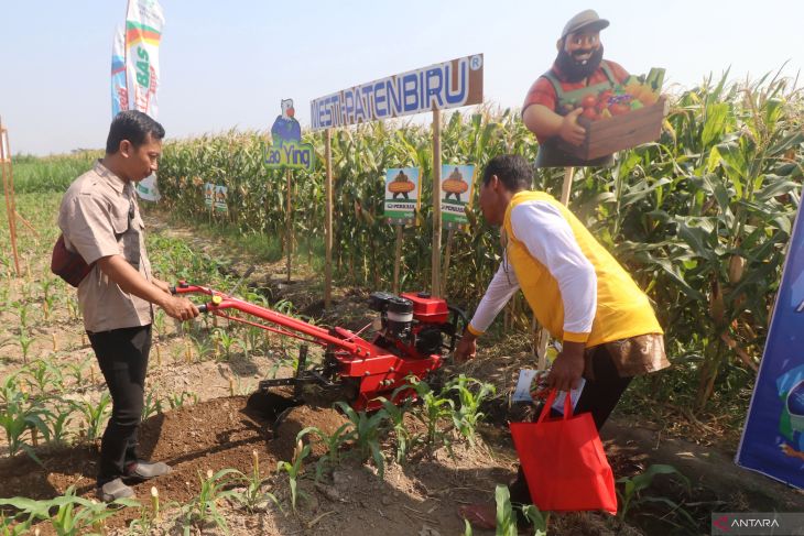 Parade Jagung Kediri 2024