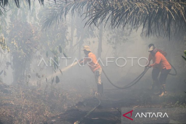 Kebakaran lahan di Rasau Jaya Kubu Raya Kalbar