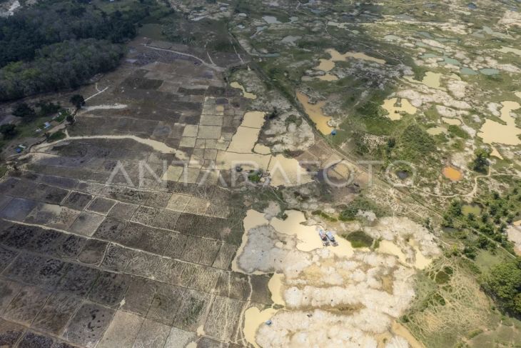 Tambang emas di persawahan dan perkebunan Merangin