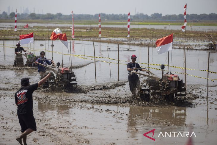 Lomba balap traktor di Indramayu