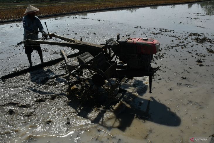 Nilai tukar petani Jawa Timur