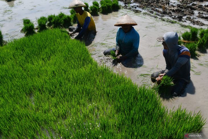 Nilai tukar petani Jawa Timur