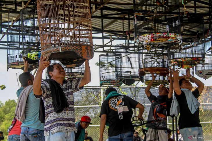 Kontes burung kicau oleh BUMDes di Nganjuk