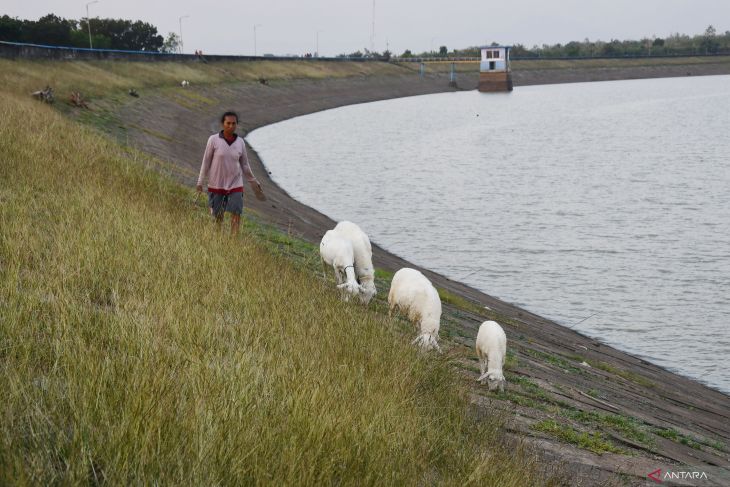 Air Waduk Dawuhan Madiun menyusut