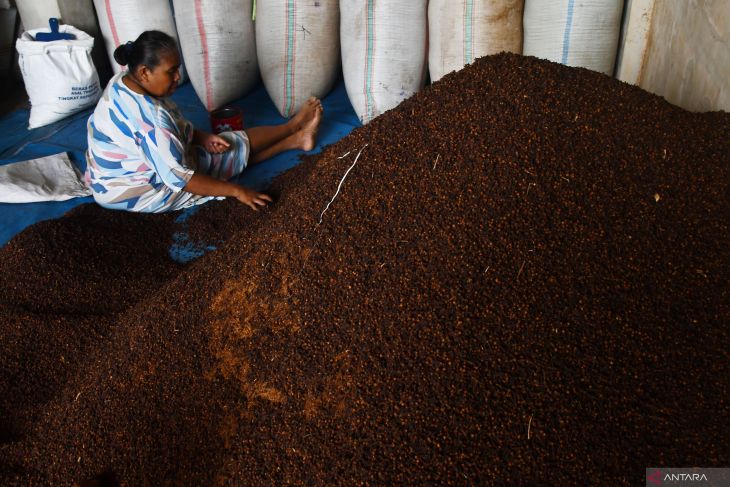 Harga cengkeh turun di Madiun