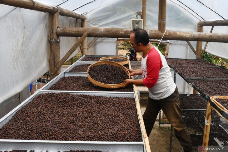 Industri rumahan pengolahan kopi di Madiun