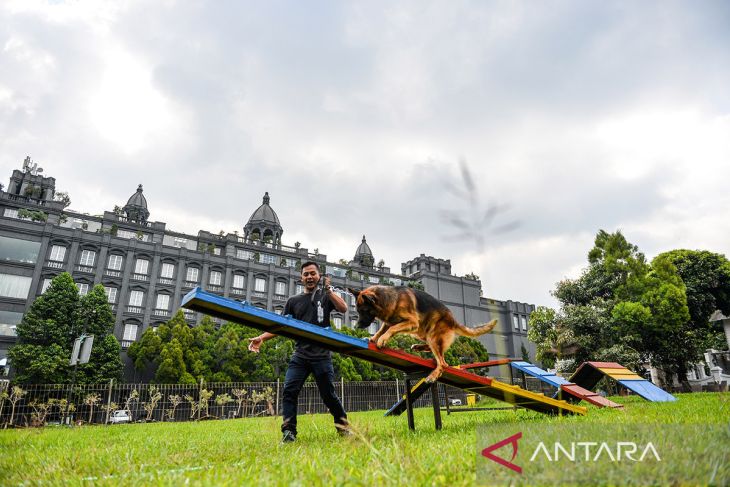 Hotel hewan peliharaan pertama di Bandung