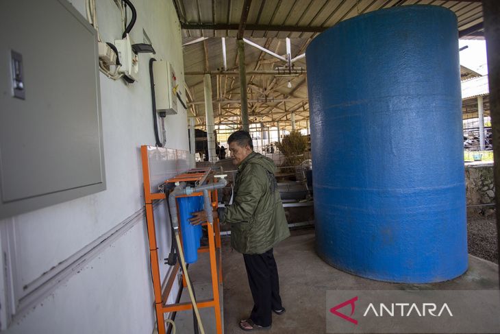 Pemanfaatan limbah kotoran sapi jadi energi biogas