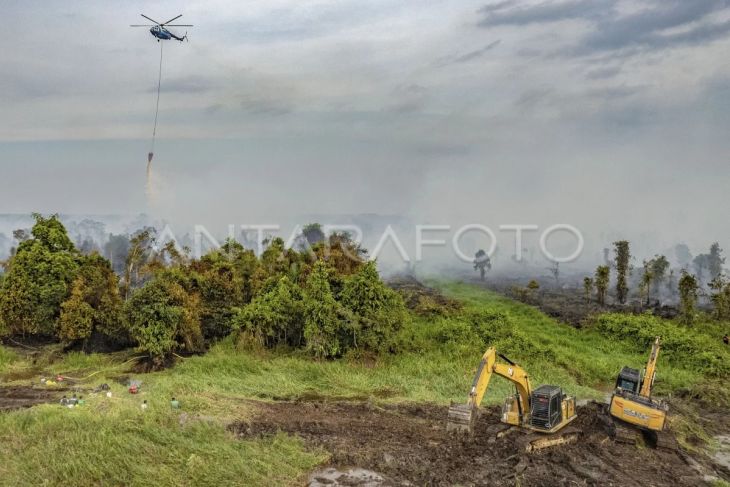 Pemadaman karhutla di Pematang Buluh