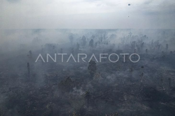 Pemadaman karhutla di Pematang Buluh