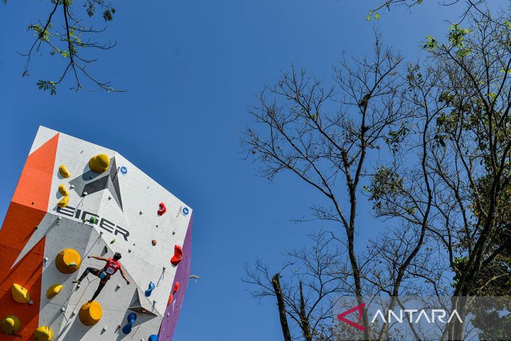 Kompetisi panjat tebing internasional